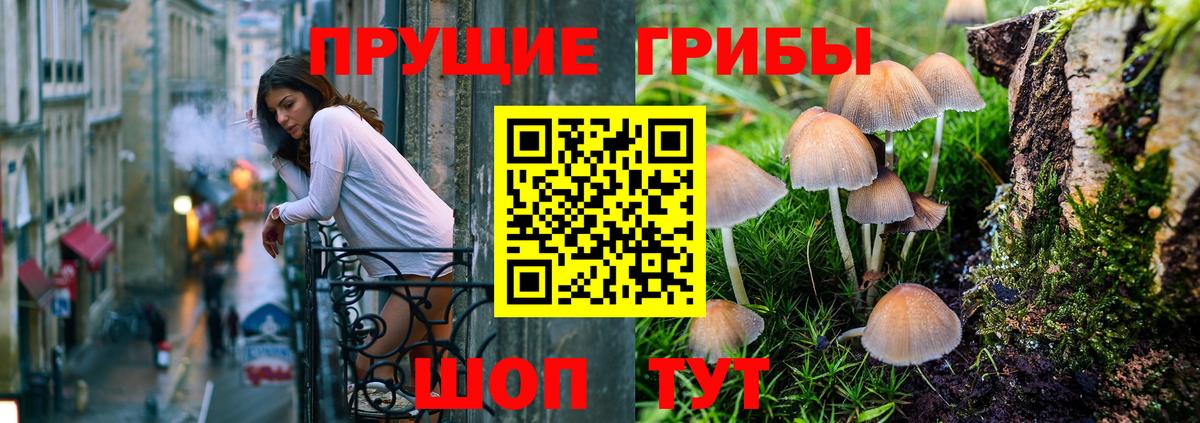 Галлюциногенные грибы Psilocybe Орск