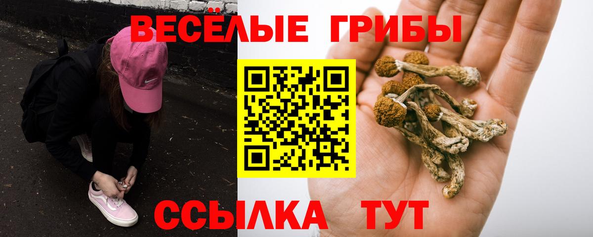 Галлюциногенные грибы MAGIC MUSHROOMS  закладки  Орск  Вход с VPN  Псилоцибиновые грибы GOLDEN TEACHER 